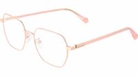 Gold Eco Metal Glasses (Frames) 1