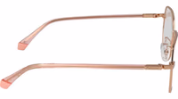 Gold Eco Metal Glasses (Frames) 5