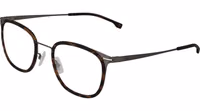 Brown Stainless Steel Glasses (Frames) 1