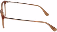 Brown Acetate Glasses (Frames) 4