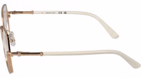 Rose Gold Metal Glasses (Frames) 4