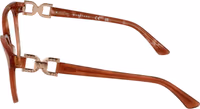 Brown Acetate Glasses (Frames) 4