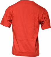 Red DG Logo Cotton Crew Neck T-shirt 4