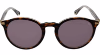 Brown Acetate Sunglasses 2