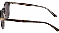 Brown Acetate Sunglasses 4