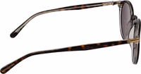 Brown Acetate Sunglasses 5