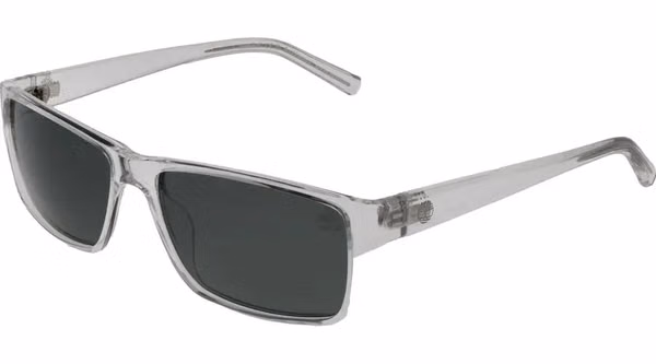 Transparent Plastic Sunglasses