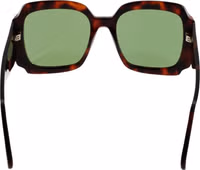 Brown Plastic Sunglasses 2