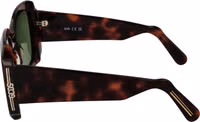 Brown Plastic Sunglasses 3