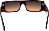 Brown Acetate Sunglasses 2