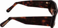 Brown Acetate Sunglasses 3