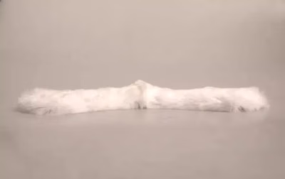 White Fur Shoulder Collar Wrap Shawl Scarf