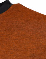 Brown DG Logo Polyester Crew Neck T-shirt 2