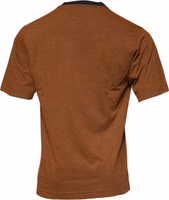 Brown DG Logo Polyester Crew Neck T-shirt 3