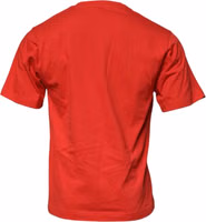 Red DG Logo Patch Cotton Crew Neck T-shirt 3