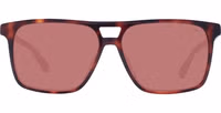 Brown Acetate Sunglasses 2