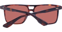 Brown Acetate Sunglasses 3