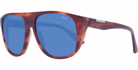 Brown Acetate Sunglasses 1