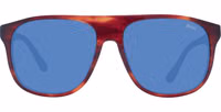 Brown Acetate Sunglasses 2