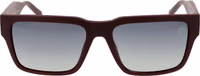 Burgundy Plastic Sunglasses 2