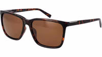 Brown Plastic Sunglasses 1