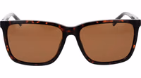 Brown Plastic Sunglasses 2