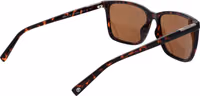Brown Plastic Sunglasses 3