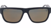 Gray Plastic Sunglasses 2