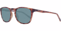 Brown Plastic Sunglasses 1