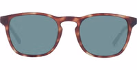 Brown Plastic Sunglasses 2