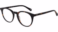 Brown Acetate Glasses (Frames) 1