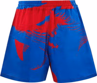 Multicolor Viscose Shorts 1