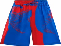 Multicolor Viscose Shorts 2