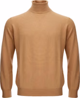 Brown Wool Turtleneck 1