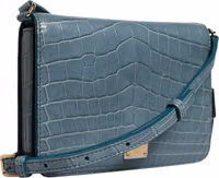 Green Exotic Leather DG Plaque Crossbody Mini Bag 3