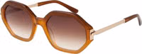 Brown Acetate Sunglasses 1