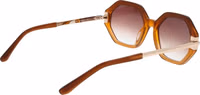 Brown Acetate Sunglasses 3