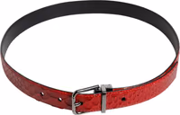 Red Exotic Leather Brass Metal Buckle Belt 2