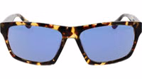 Brown Acetate Sunglasses 2