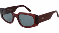 Burgundy Acetate Sunglasses 1