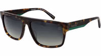 Brown Acetate Sunglasses 1