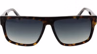 Brown Acetate Sunglasses 2