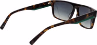 Brown Acetate Sunglasses 3