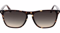 Brown Acetate Sunglasses 2