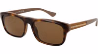 Brown Acetate Sunglasses 1