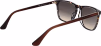Brown Acetate Sunglasses 3