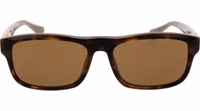 Brown Acetate Sunglasses 2