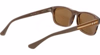 Brown Acetate Sunglasses 3