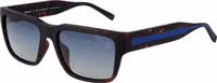 Brown Plastic Sunglasses 1