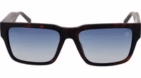 Brown Plastic Sunglasses 2